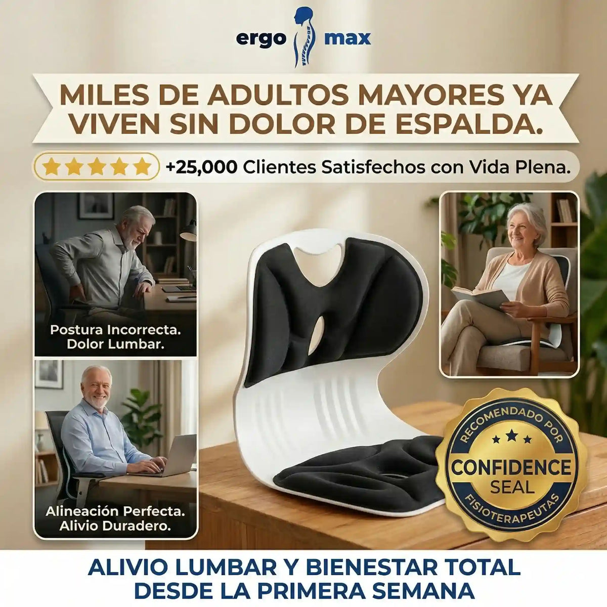 Asiento Ergonomico Ergomax l Mejora Tu Postura Ya
